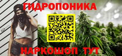 сатива Жуковский