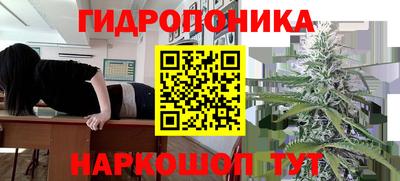 сатива Жуковский