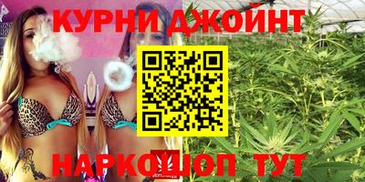 сатива Жуковский