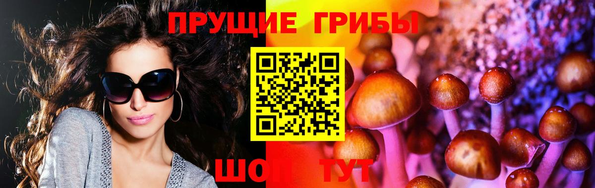 Галлюциногенные грибы GOLDEN TEACHER Лабинск